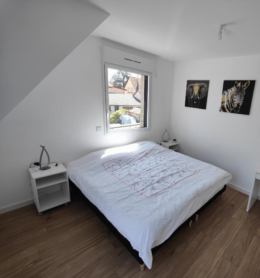 Appartement 48M², Strasbourg Centre A 15 Min En Train Fegersheim Luaran gambar